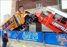 GATORS- LOUISVILLE 